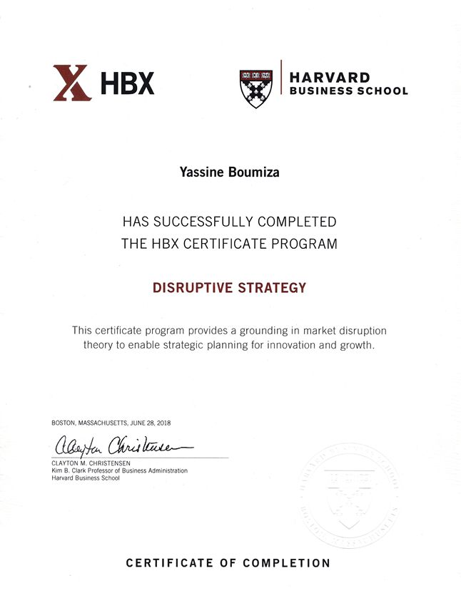 Disruptive Strategy